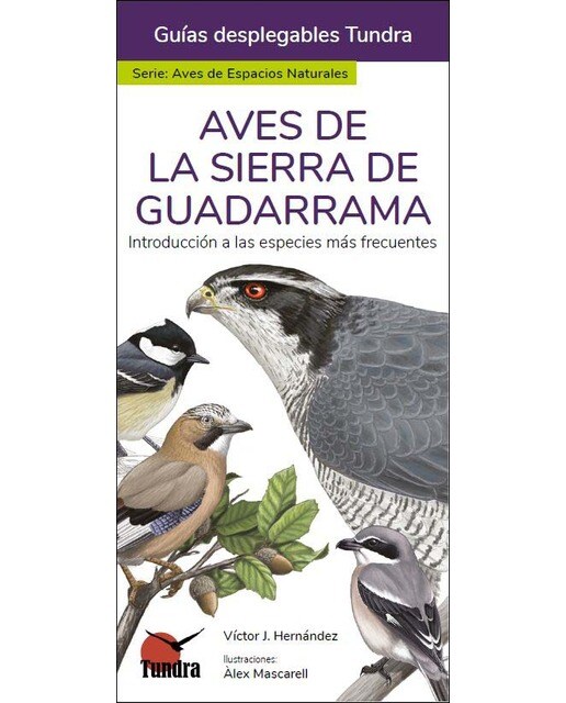 Aves de la sierra de guadarrama - guíastundra.