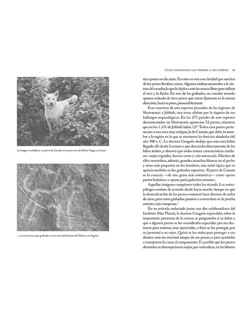El mejor amigo del perro: Breve historia de un vínculo único (Capa mole) 4