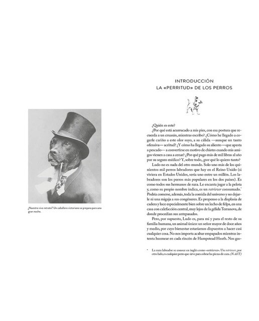 El mejor amigo del perro: Breve historia de un vínculo único (Capa mole) 6