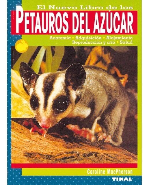 Petauros del azúcar (Capa mole) 1