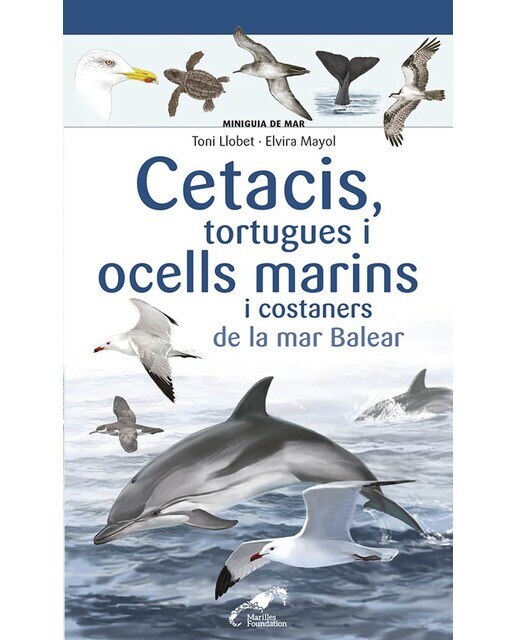 Cetacis, tortugues i ocells marins i costaners de la mar Balear
