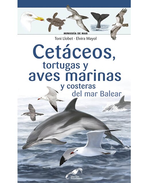 Cetáceos, tortugas y aves marinas y costeras del mar Balear