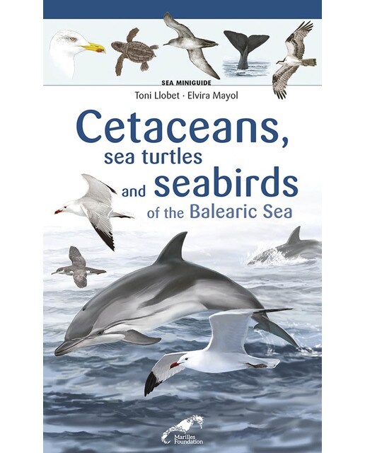 Cetaceans, sea turtles and seabirds of the Balearic Sea