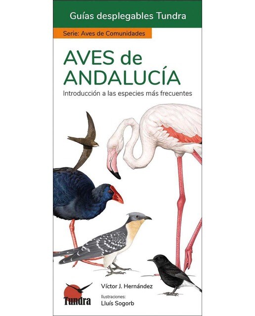 Imagen 0 de Aves de andalucía - guias desplegables tundra