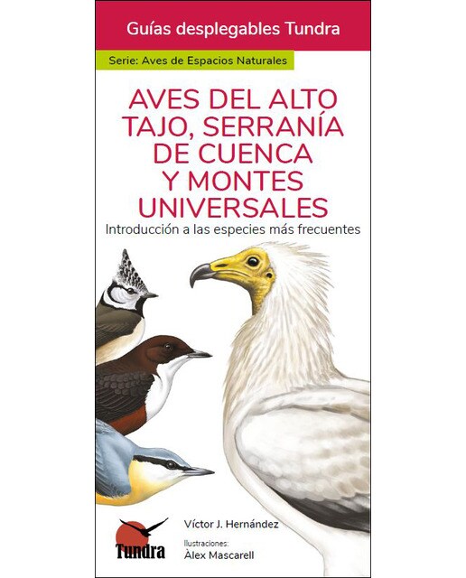 Imagen 0 de Aves del alto tajo, serranía de cuenca y montes un