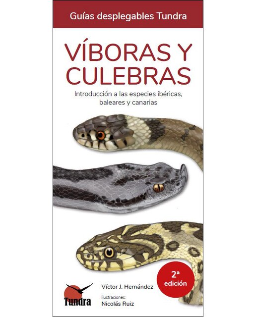 Imagen 0 de Víboras y culebras - guias desplegablestundra