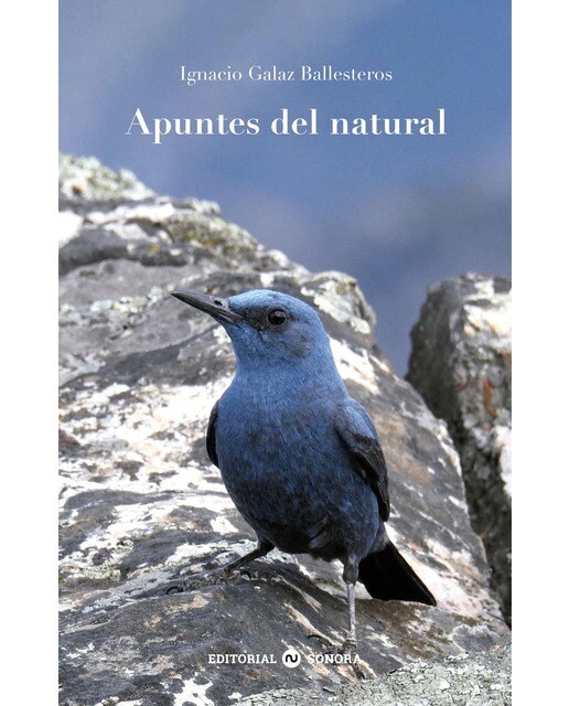 Imagen 0 de Apuntes del natural  (Tapa blanda con solapas)