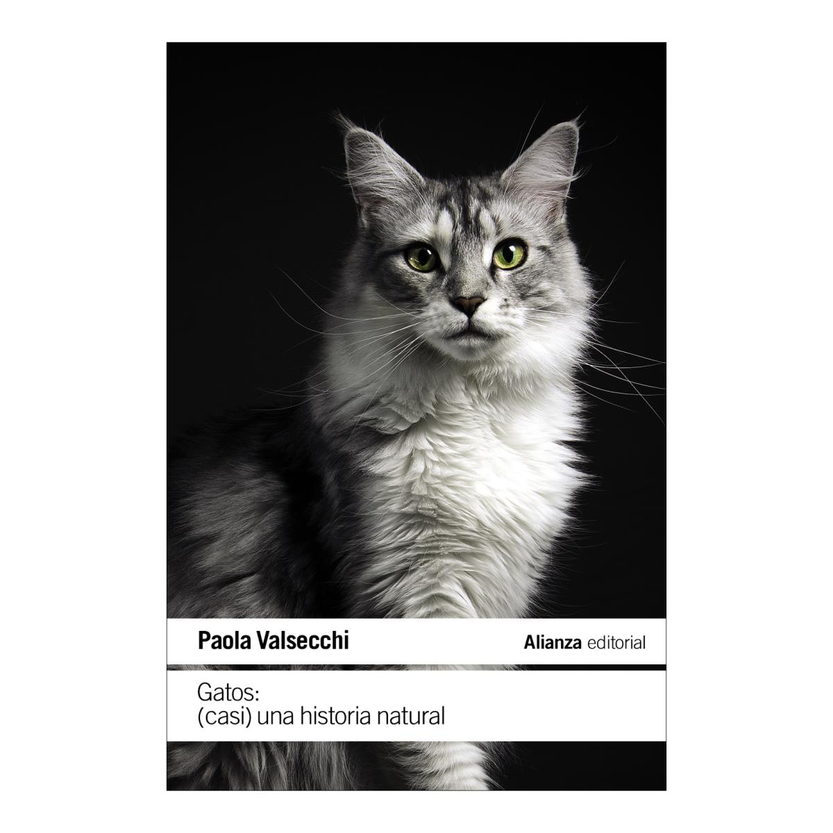 Gatos: (Casi) una historia natural (Capa mole) 1