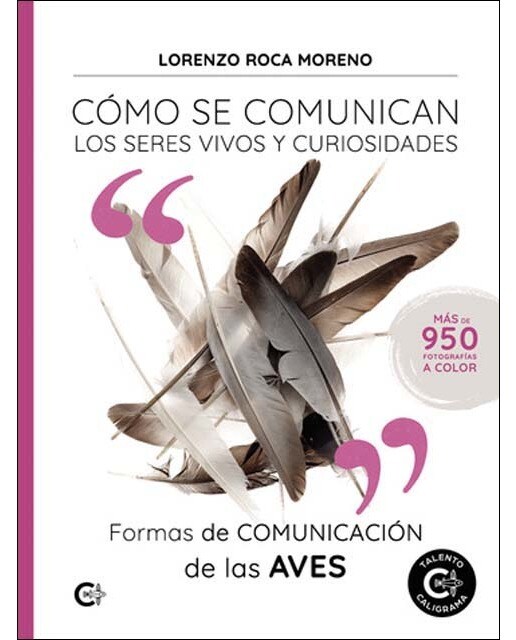 Formas de comunicación de las aves (Capa mole) 1