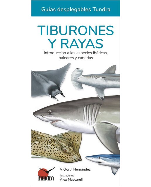 Tiburones y rayas - guías desplegables tundra 1