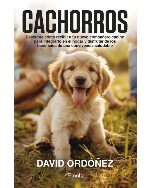 Cachorros: Descubre cómo recibir a tu nuevo compañero canino para integrarlo en el hogar y disfrutar de los beneficios que puede aportar  (Capa mole) 1