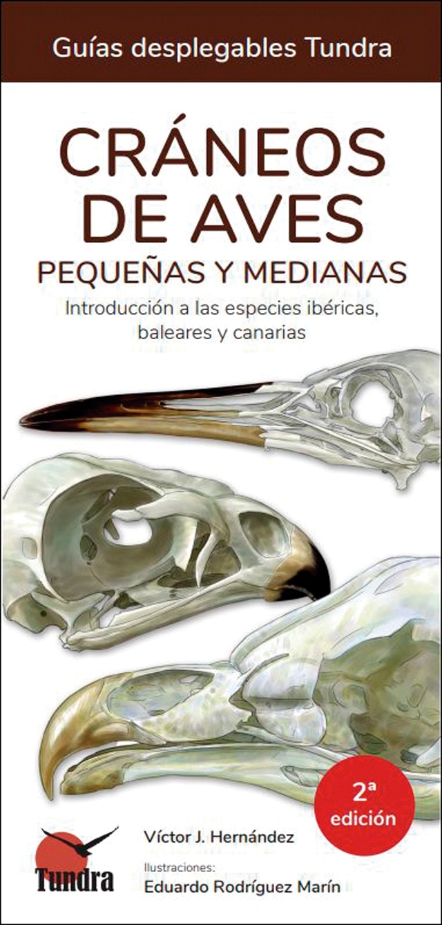 Cráneos de aves pequeñas y medianas - Guías desplegables Tundra (Tapa bladna).