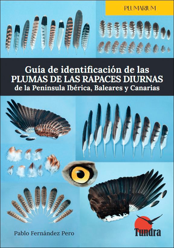Guía de identificación de las plumas delas rapace 1