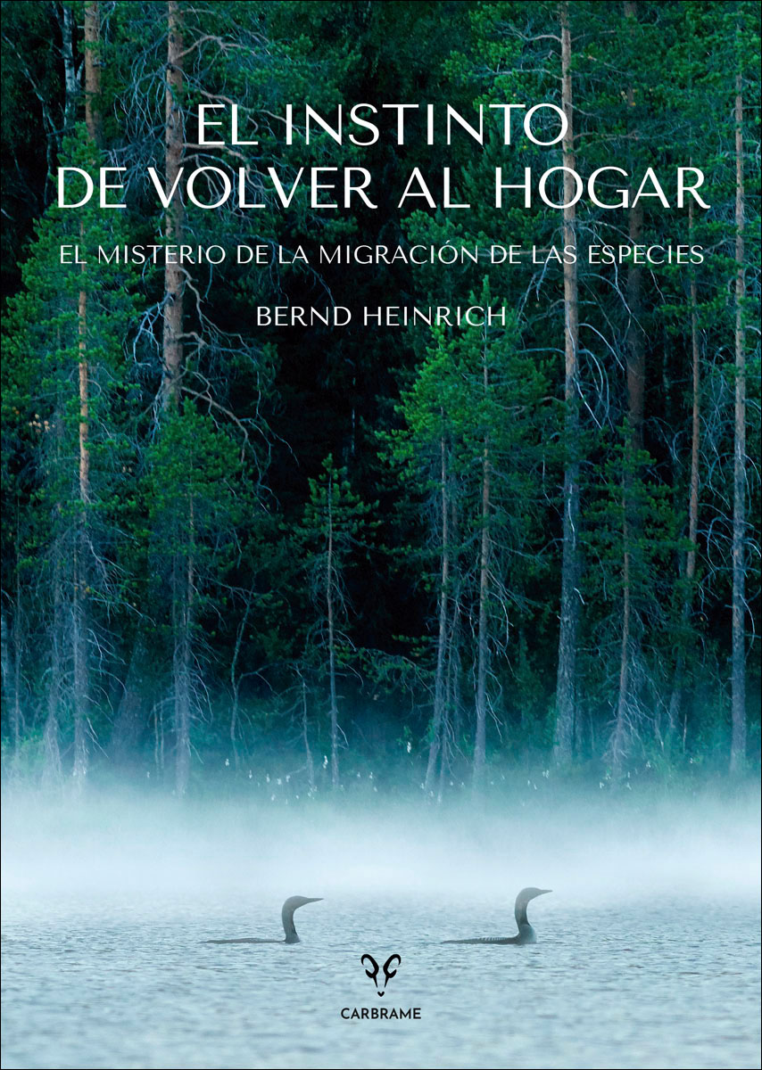 Imagem 0 de El instinto de volver al hogar: El misterio de la migración de las especies (Capa mole com abas)