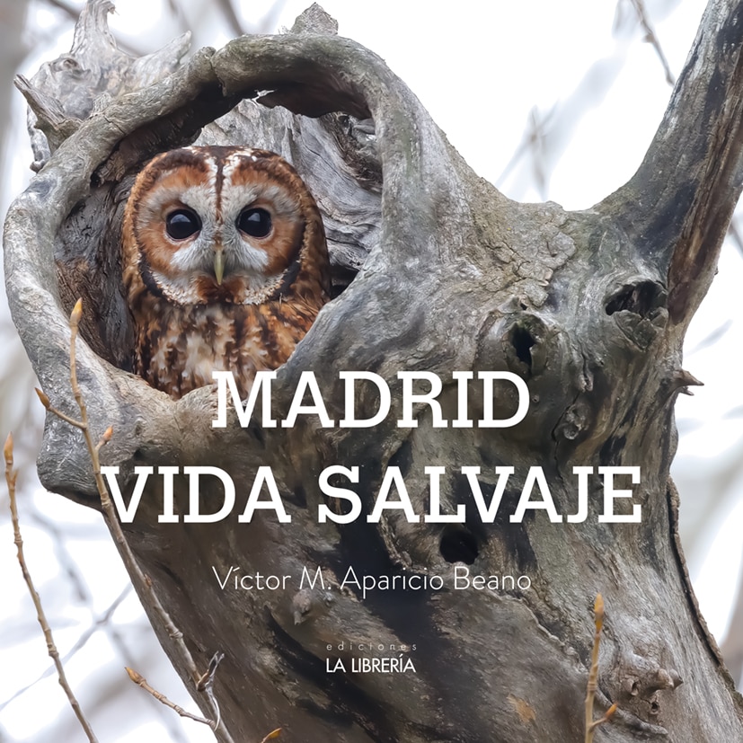 Imagem 0 de Madrid vida salvaje (Capa mole com abas)