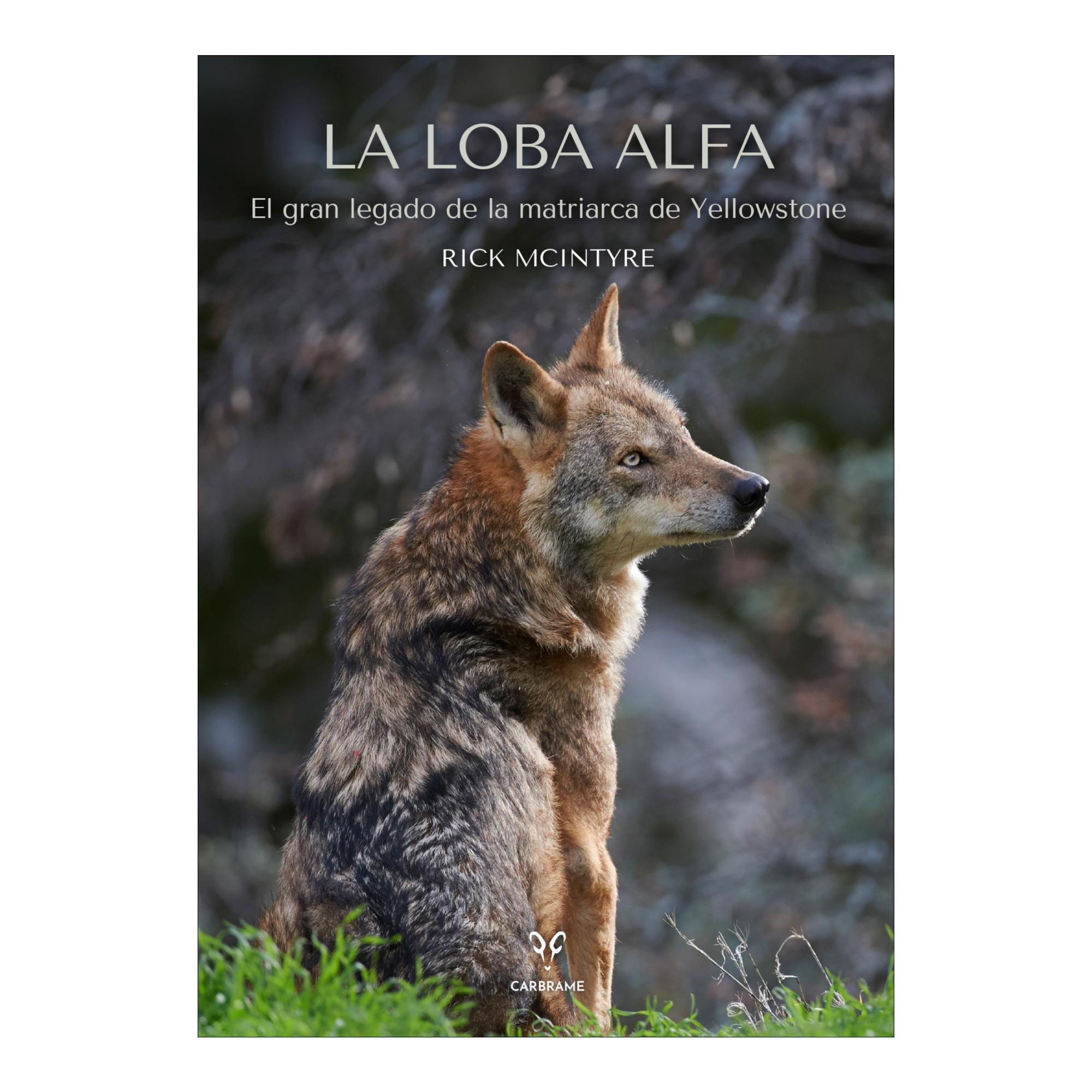 Imagem 0 de La loba alfa: El gran legado de la matriarca de Yellowstone (Capa mole com abas)