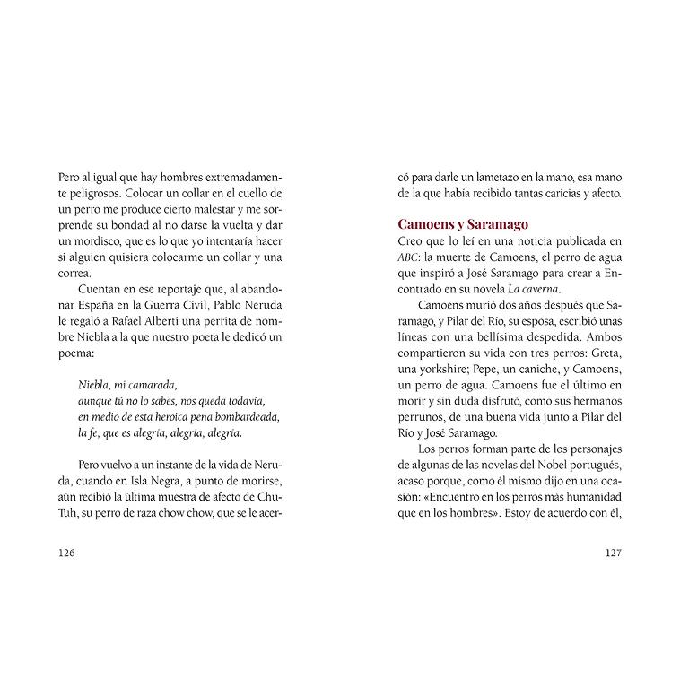 Cuando ellos se van (Capa dura) 2