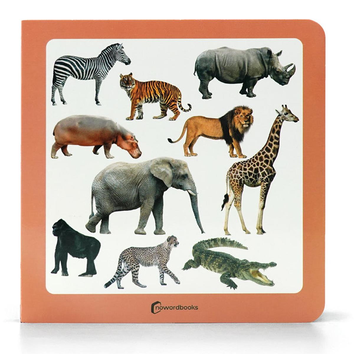 Animales salvajes 3 1