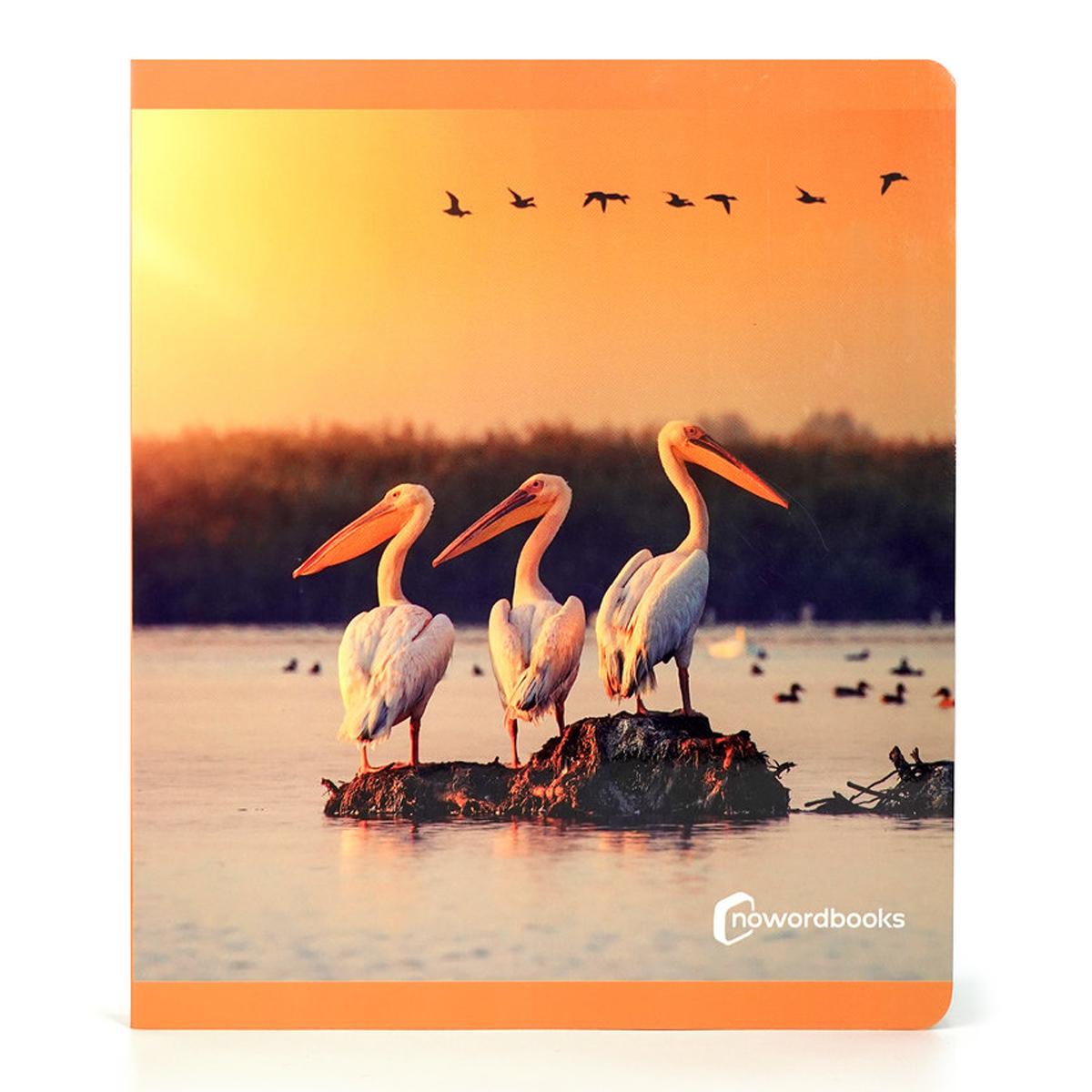 Aves 1