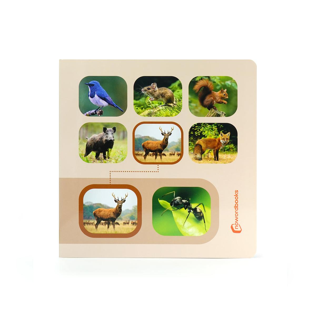 Busca y encuentra.Animales del bosque 1