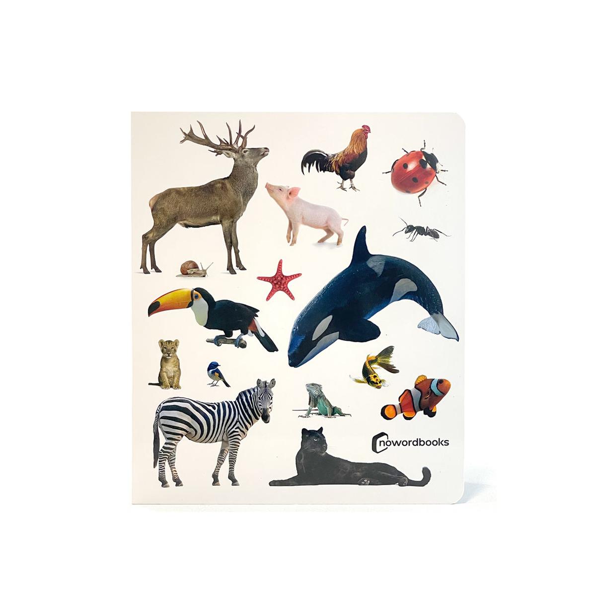Animales! 1