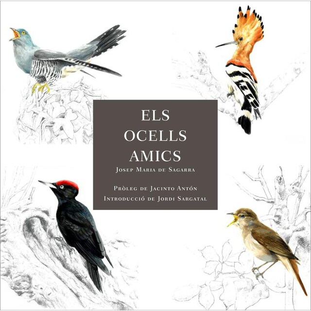 Imagem 0 de Els ocells amics