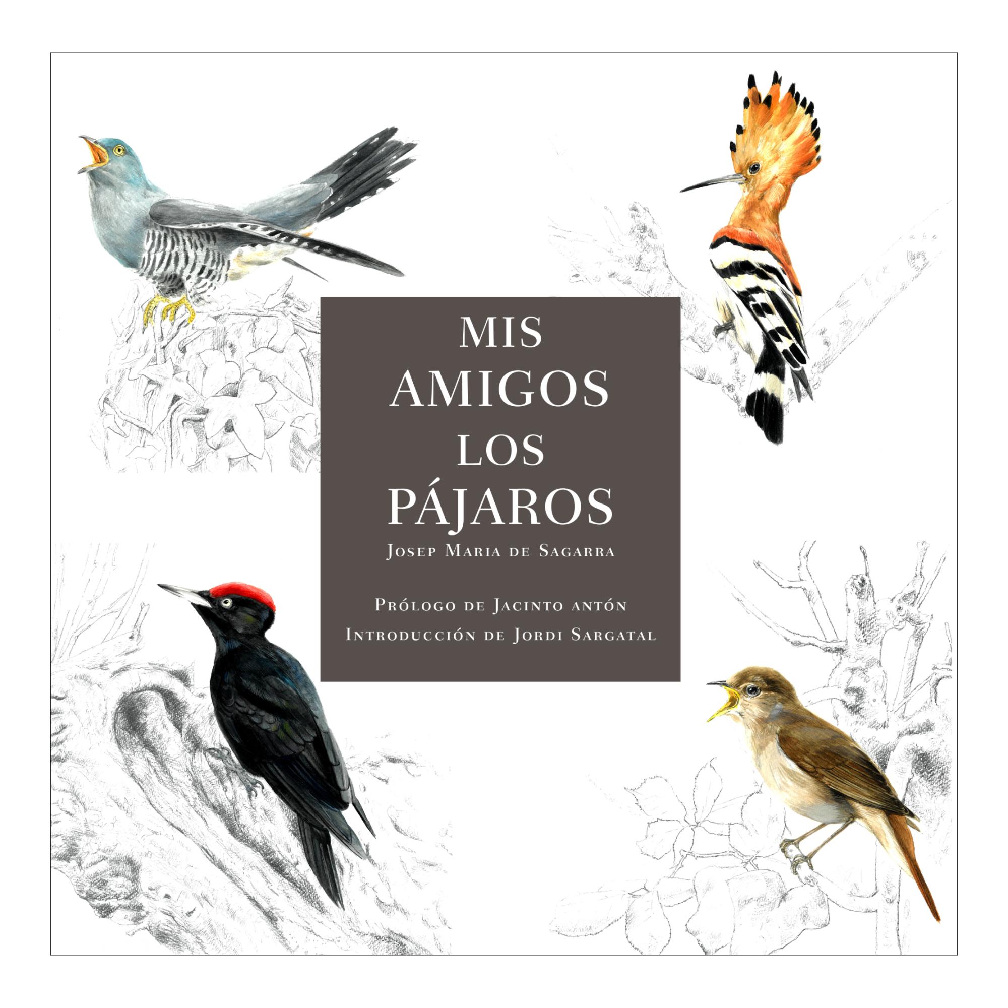 Imagem 0 de Mis amigos los pájaros