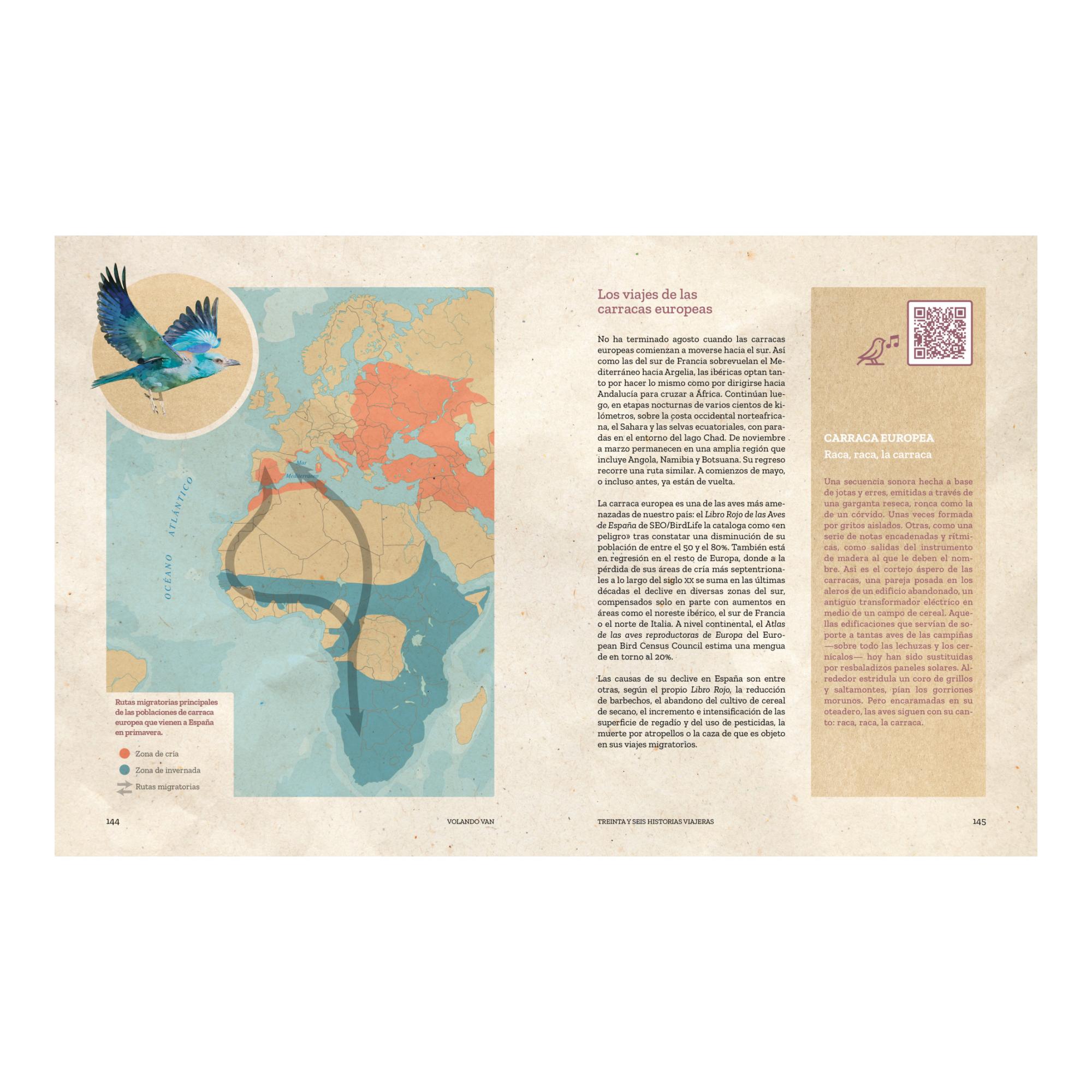 Volando van: Relatos de aves viajeras (Capa mole com abas) 3