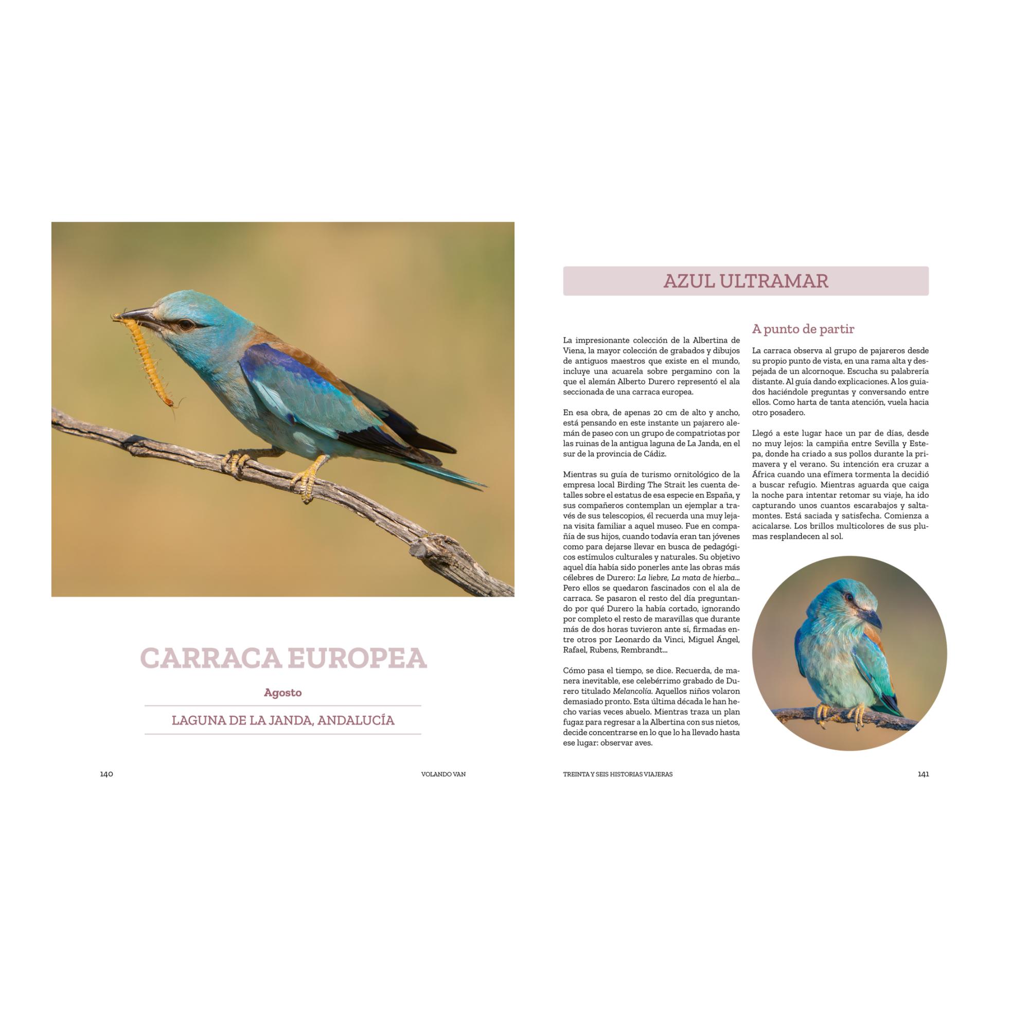 Volando van: Relatos de aves viajeras (Capa mole com abas) 4