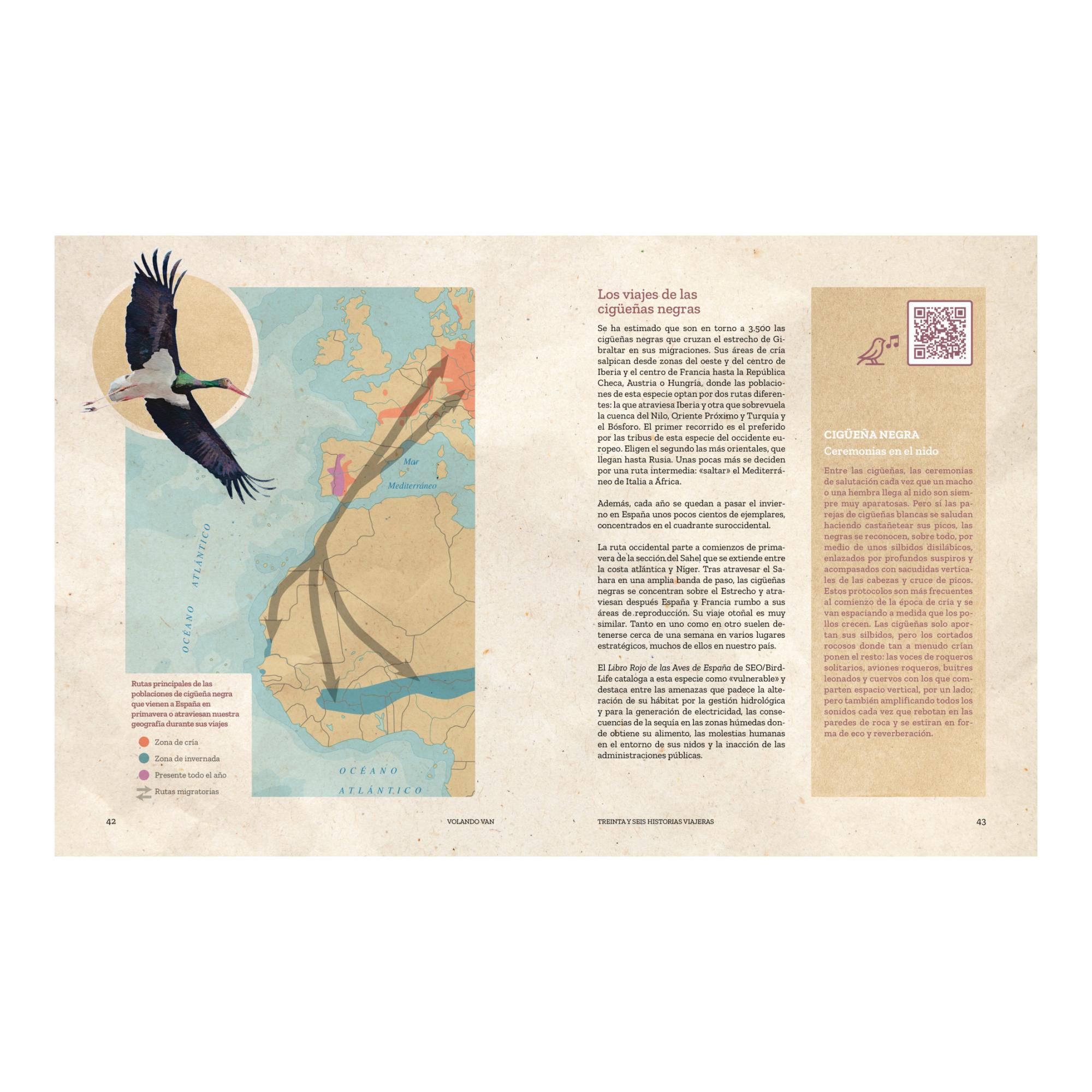 Volando van: Relatos de aves viajeras (Capa mole com abas) 5