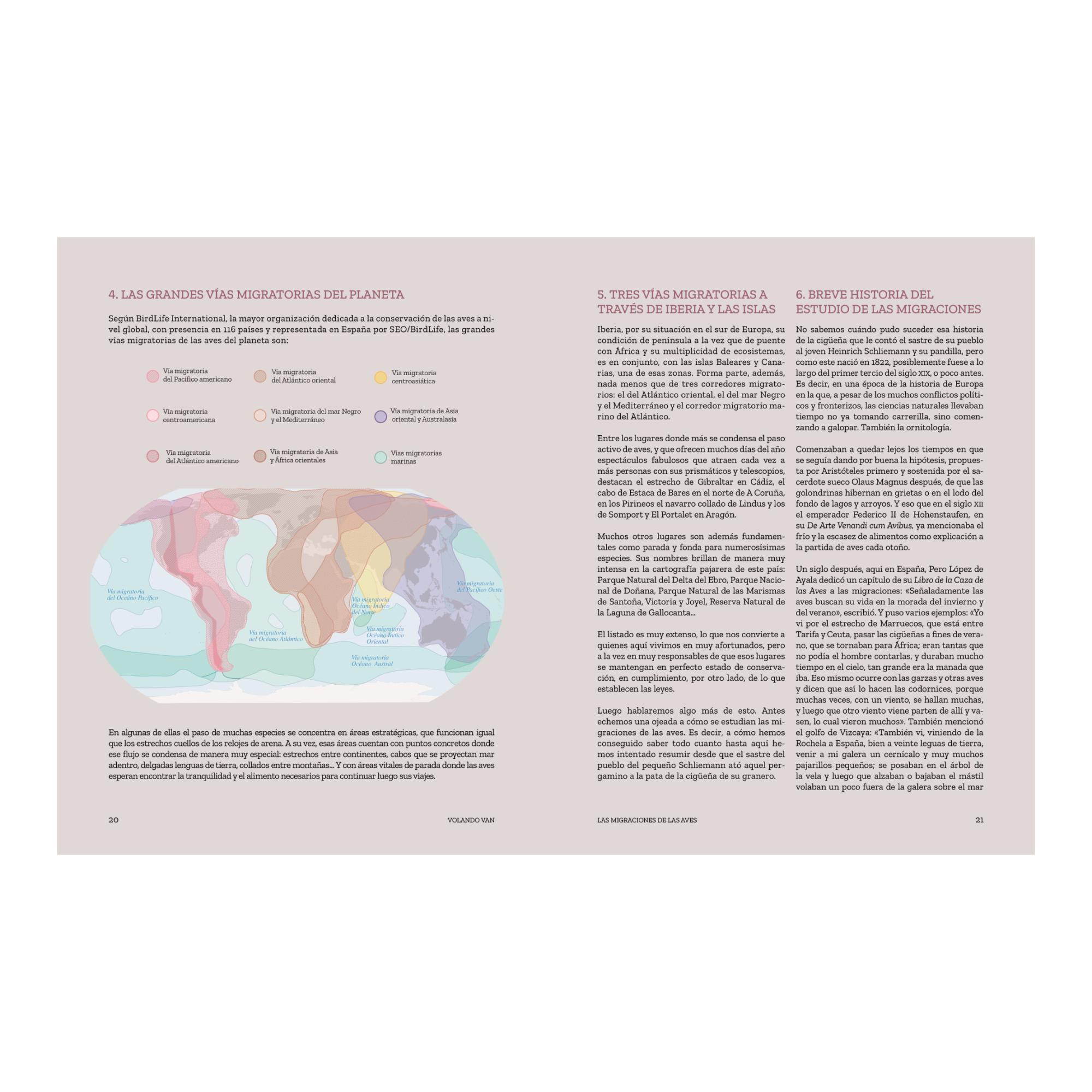 Volando van: Relatos de aves viajeras (Capa mole com abas) 6