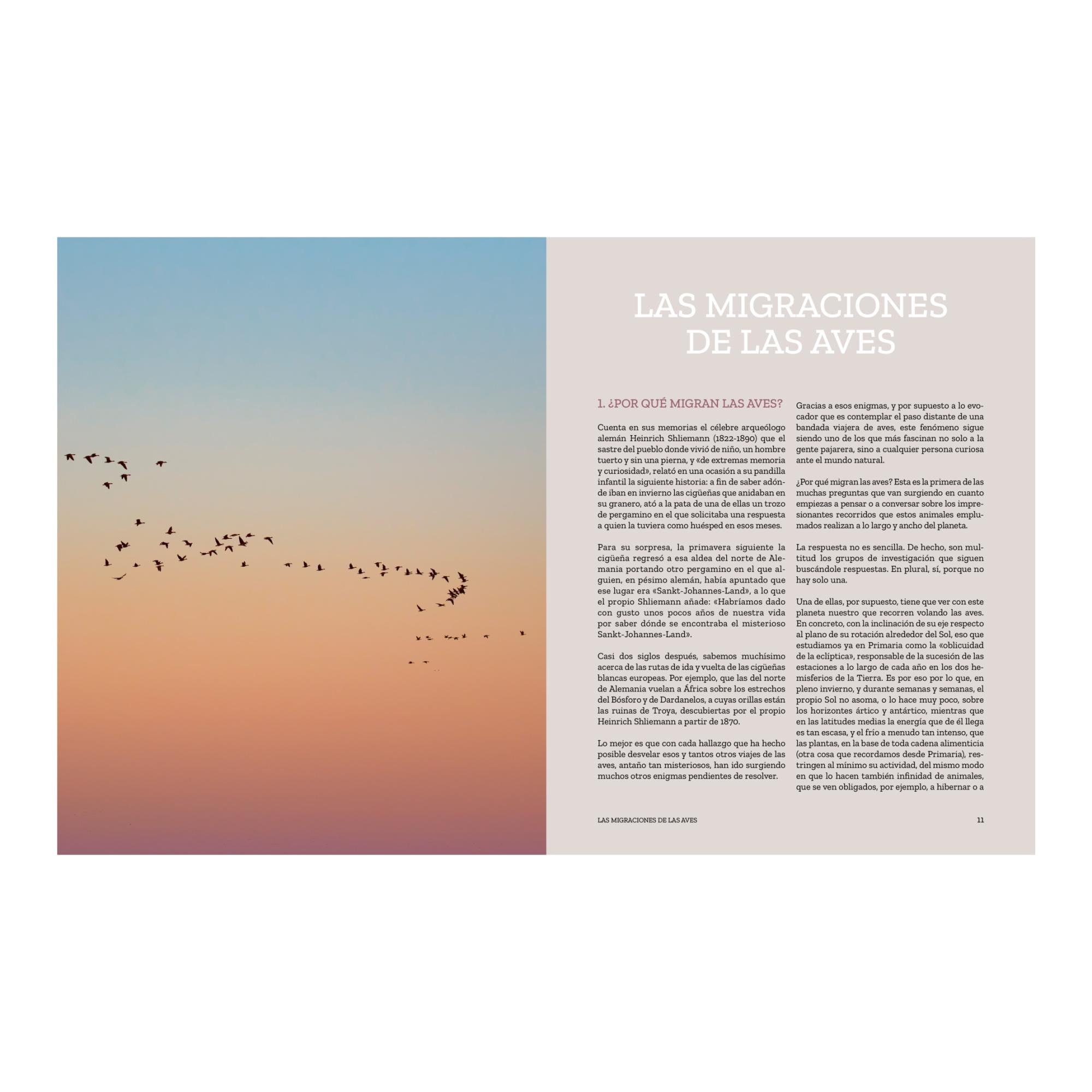 Volando van: Relatos de aves viajeras (Capa mole com abas) 7