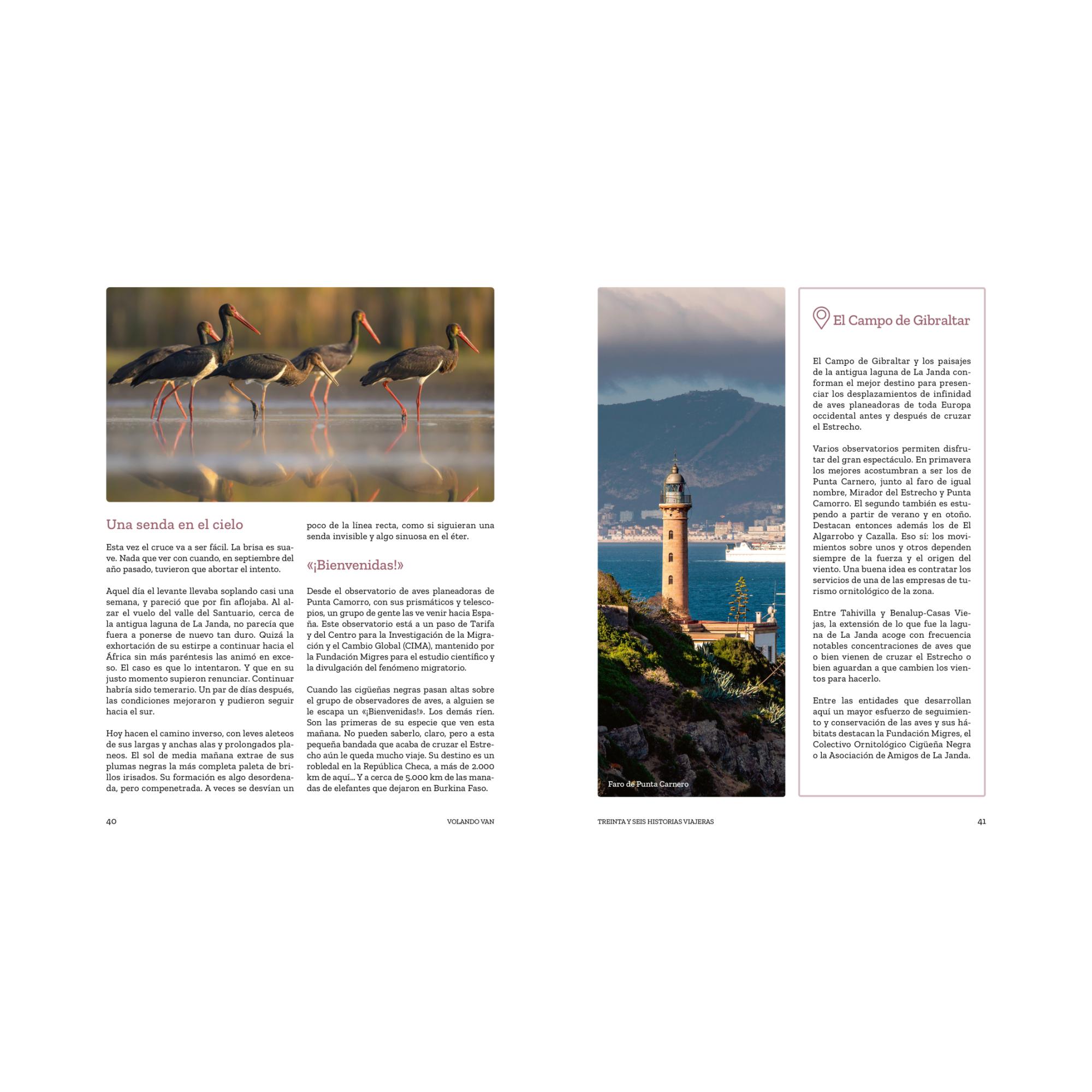 Volando van: Relatos de aves viajeras (Capa mole com abas) 8