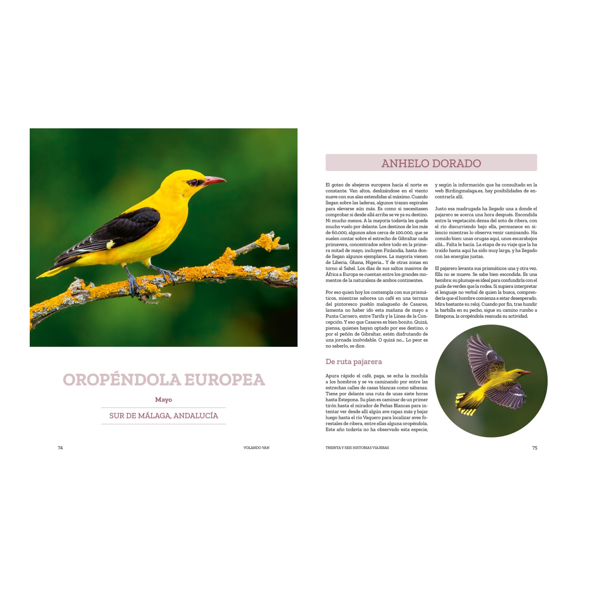 Volando van: Relatos de aves viajeras (Capa mole com abas) 9