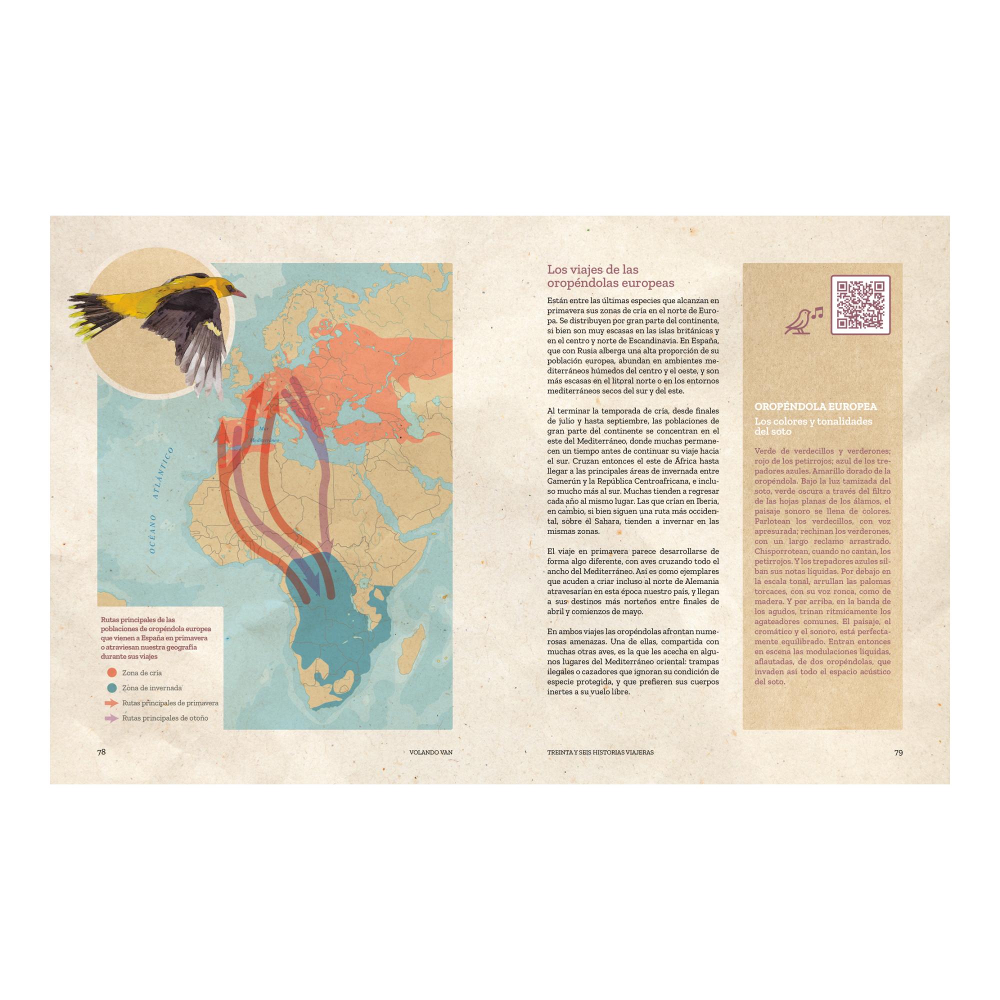 Volando van: Relatos de aves viajeras (Capa mole com abas) 10