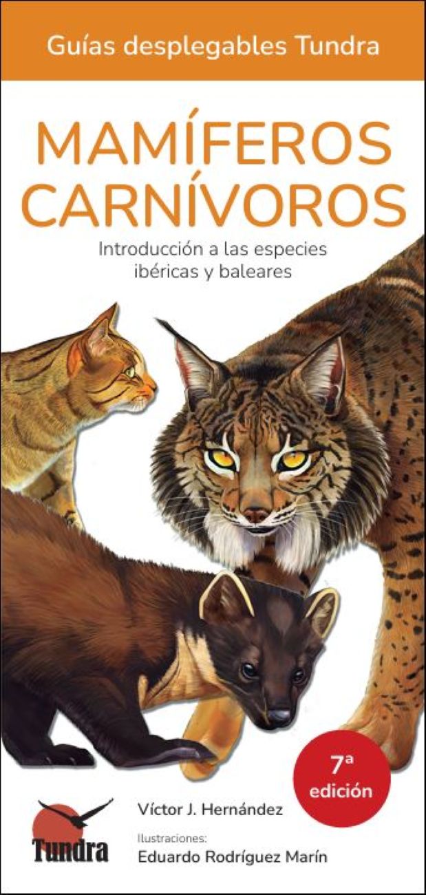 Imagen 0 de Mamíferos carnívoros (Tapa blanda)