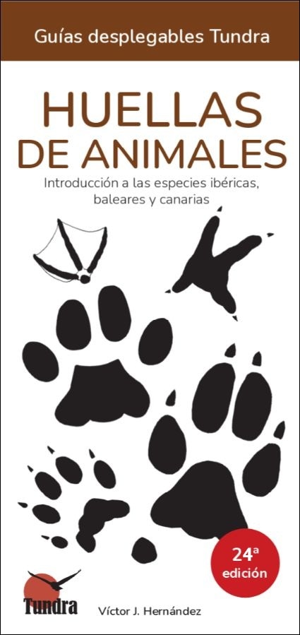 Imagen 0 de Huellas de animales - Guías desplegables Tundra (Tapa blanda)