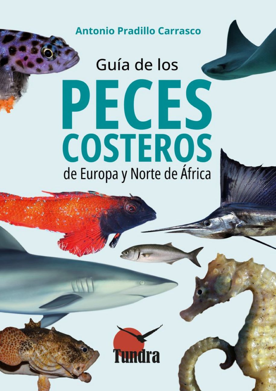 Imagen 0 de Guía de los peces costeros de Europa y norte de África (Tapa blanda)