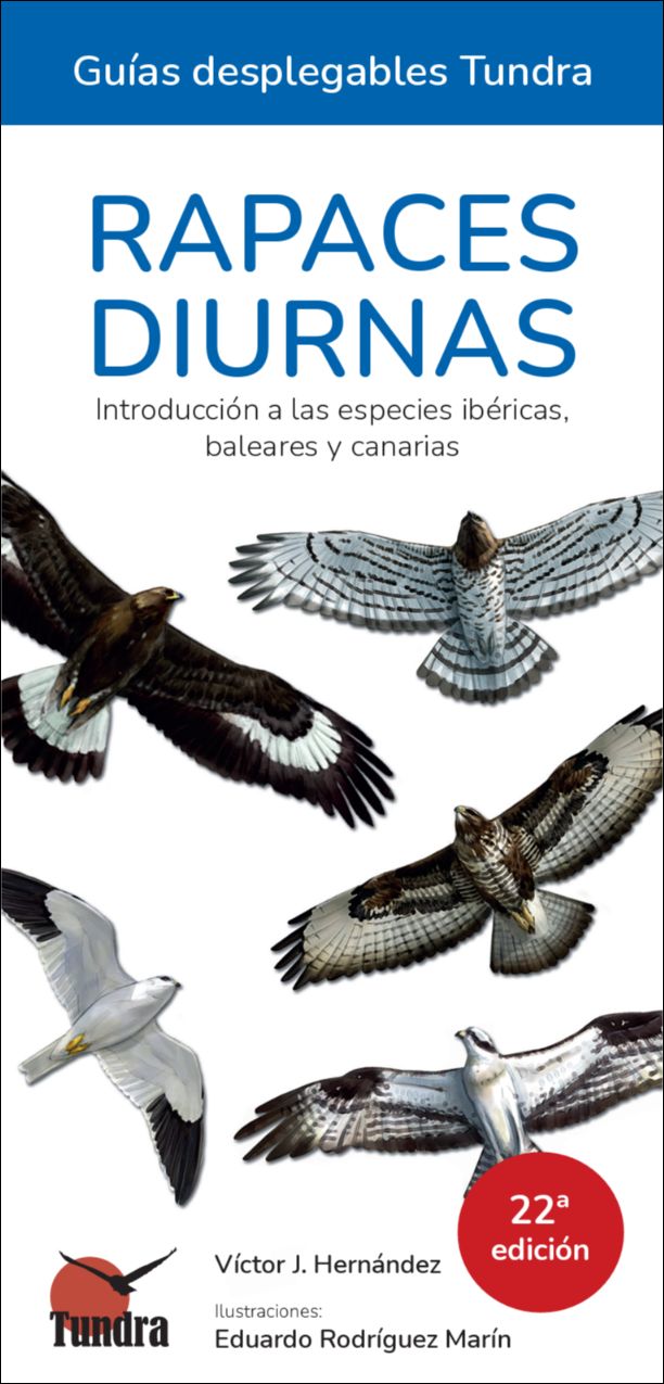 Imagen 0 de Rapaces diurnas - Guías desplegables Tundra (Tapa blanda)