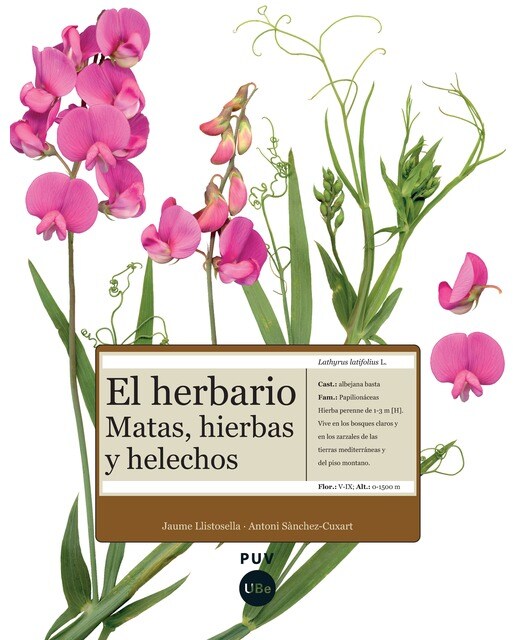 El herbario: matas, hierbas y helechos