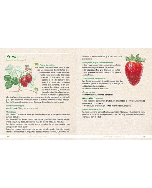 Tu huerto urbano: Cultiva tus propias verduras y hortalizas (Tapa dura) 5
