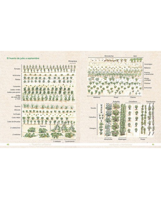 Tu huerto urbano: Cultiva tus propias verduras y hortalizas (Tapa dura) 7