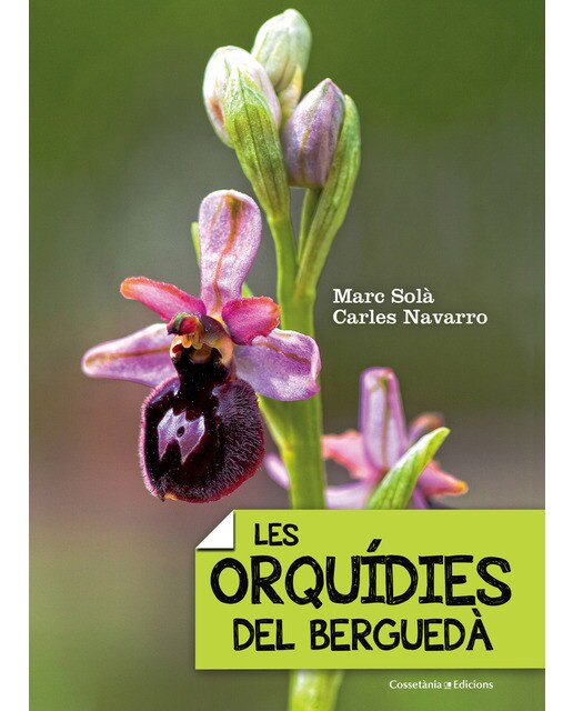 Imagen 0 de Les orquídies del berguedà (Tapa blanda)