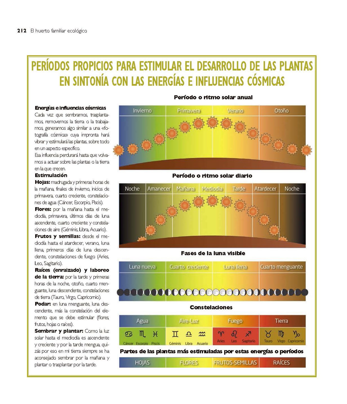 El huerto familiar ecológico(Tapa dura) 7