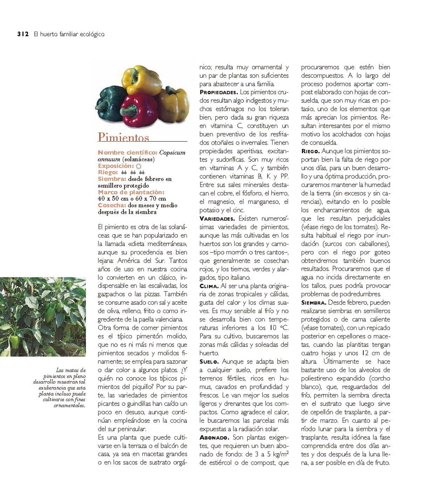 El huerto familiar ecológico(Tapa dura) 8