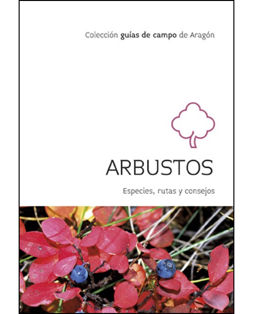 Arbustos: Especies. Rutas Y Consejos 1
