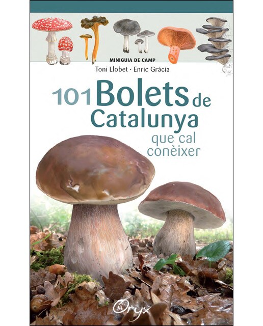 Imagen 0 de 101 bolets de Catalunya: que cal conèixer  (Tapa blanda)