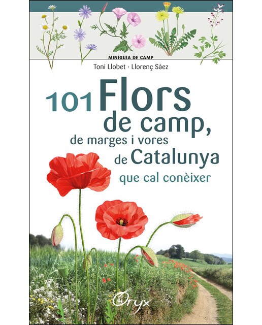 Imagen 0 de 101 flors de camp, de marges i vores de Catalunya: que cal conèixer  (Tapa blanda)