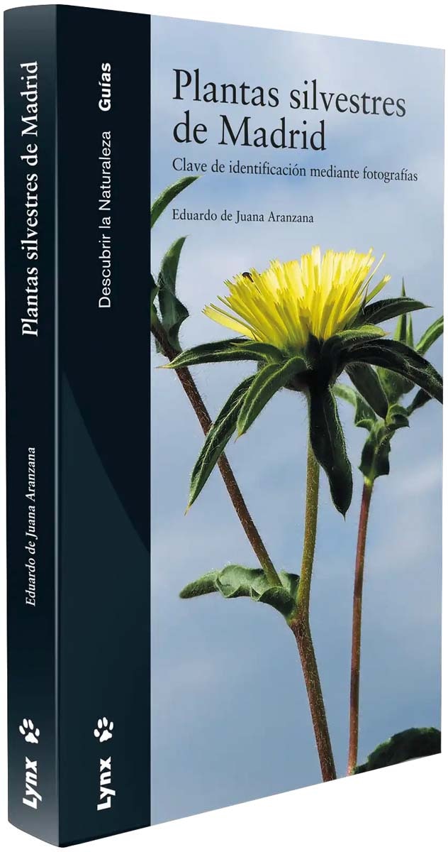 Plantas silvestres de Madrid: Clave de identificación mediante fotografías (Capa mole) 1