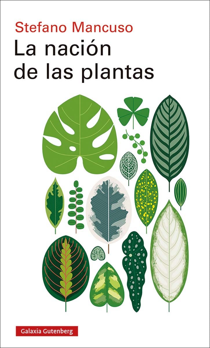Imagen 0 de La nación de las plantas (Tapa blanda)